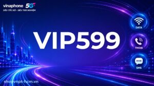VIP599