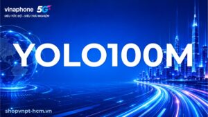 YOLO100M