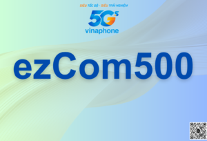 ezCom500