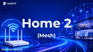Home 2 (Mesh)
