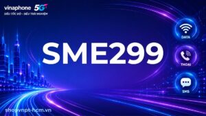SME299