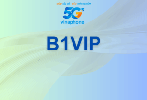 B1VIP