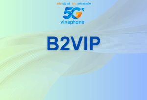 B2VIP