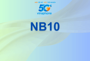 NB10