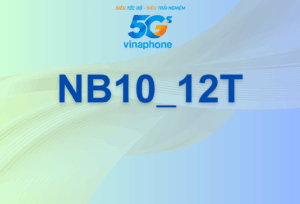 NB10_12T