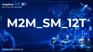 M2M_SM_12T