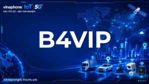 B4VIP