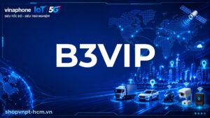 B3VIP