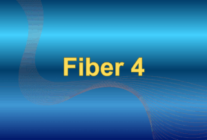 Fiber 4