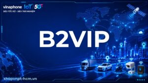 B2VIP