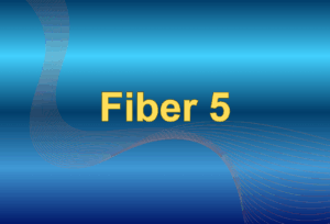 Fiber 5
