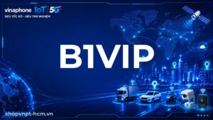 B1VIP