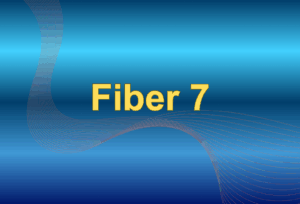 Fiber 7