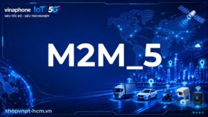 M2M_5