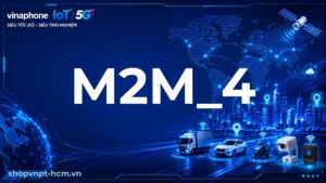 M2M_4