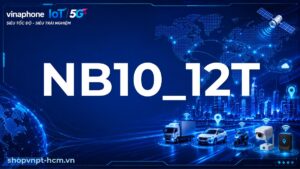 NB10_12T