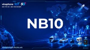 NB10