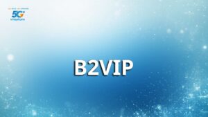 B2VIP