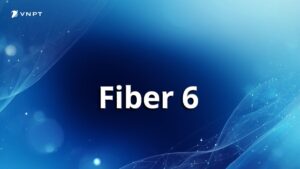 Fiber 6