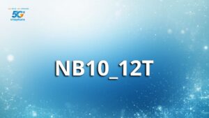 NB10_12T