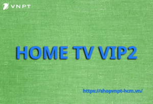 Home TV VIP2